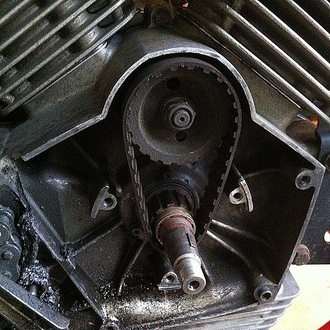 Elle est sortie toute seule