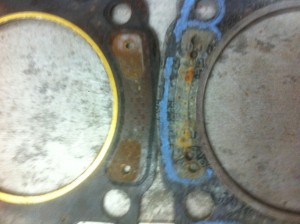 le bleu c'est celui de NW maintenant il a 4 petit trous