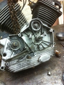 IMG_9821 - Copie.JPG