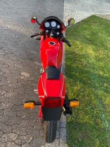 WhatsApp Image 2025-03-08 à 08.15.37_1b9afa32.jpg