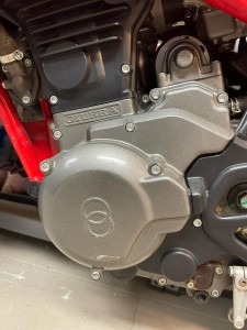 WhatsApp Image 2025-03-08 à 08.15.37_13fc90b2.jpg