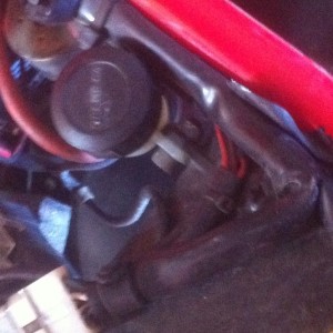 IMG_0295 - Copie.JPG