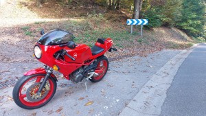 WhatsApp Image 2025-10-18 à 19.18.42_61037c48.jpg