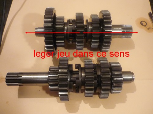 1 arbres boite jeu.jpg